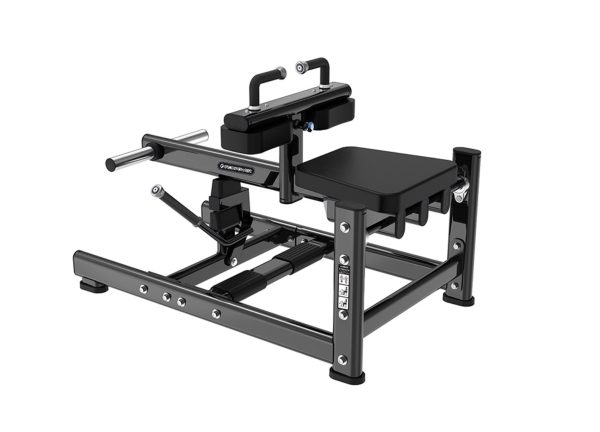 IPPL1024 Seated Calf
