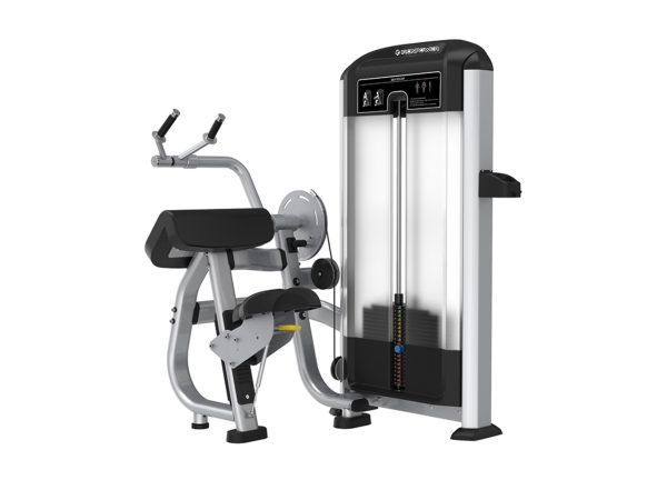 SE402 Triceps