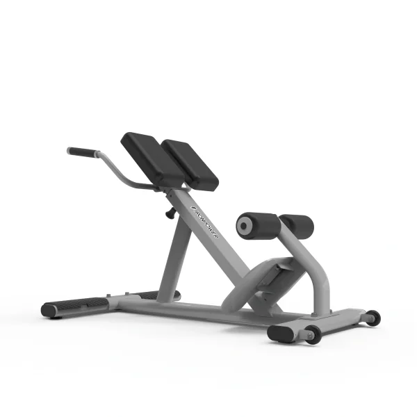 BS3005 Back Extension