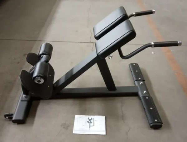 BS3005 Back Extension - Image 2