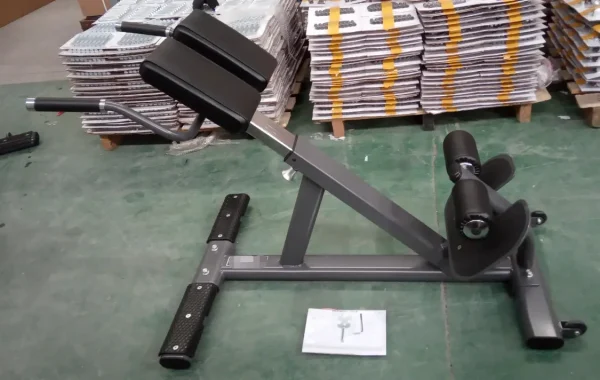 BS3005 Back Extension - Image 3